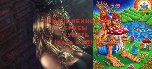 шишки Заводоуковск