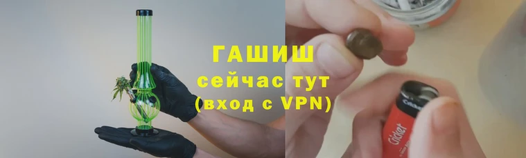 спиды Елизово