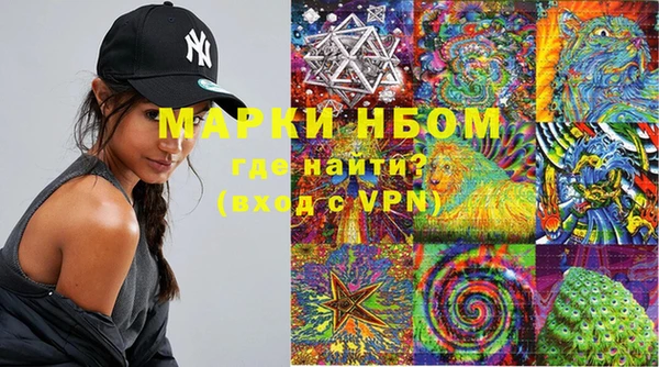спиды Елизово