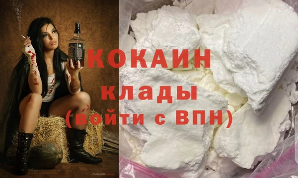 спиды Елизово