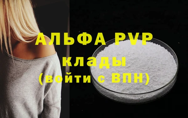 спиды Елизово