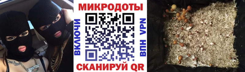 Галлюциногенные грибы мицелий Зея